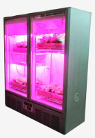 Климатическая камера Фитотрон ЛиА-2